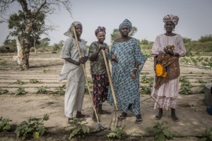 554c9ca93570fde9b3208665