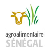Portail IAAS Logo